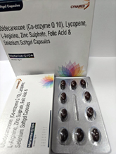 top pharma franchise company in Haryana Sycap Pharma 